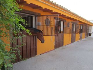 Casa rural en venta en Morón de la Frontera