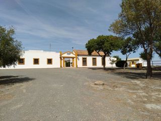 Casa rural en venta en Morón de la Frontera