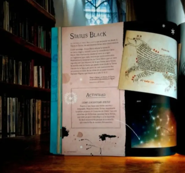 Harry Potter: Un viaje por la historia de la ma...