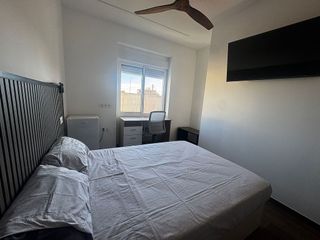 Piso en alquiler en Alcalde Felipe Mallol en San Vicente del Raspeig/Sant Vicent del Raspeig