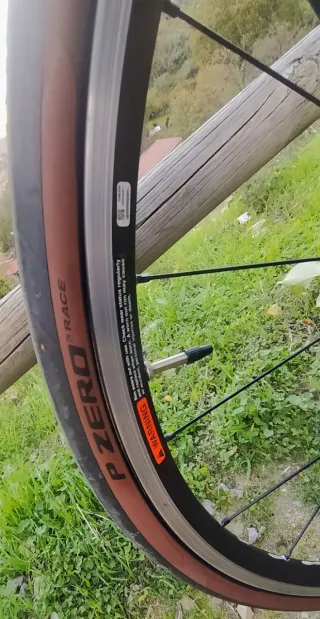 Bicicleta Canyon Endurace (Año 2020). Talla M.