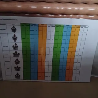 Madoterapia Eléctrica