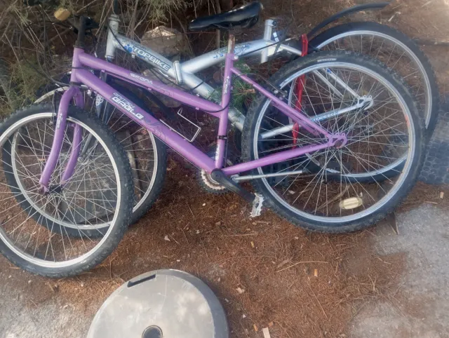 Bicicleta Morada British Eagle