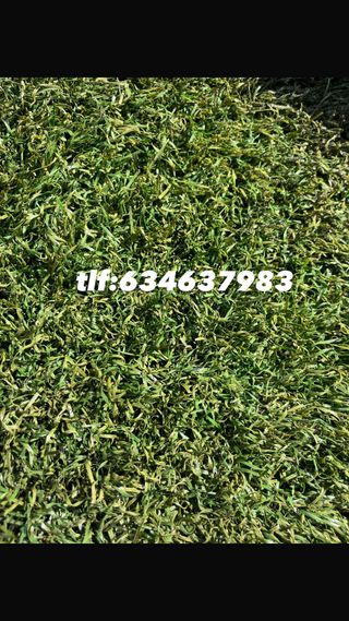 Césped artificial reciclado