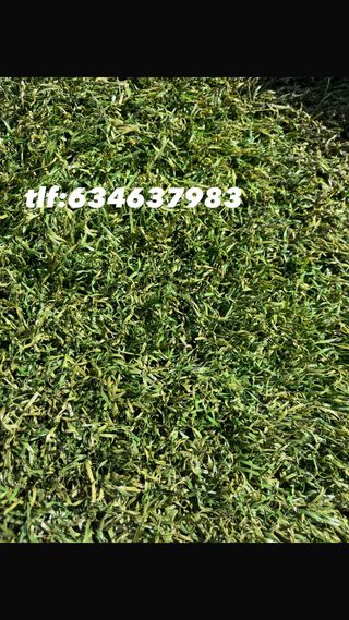 Césped artificial reciclado