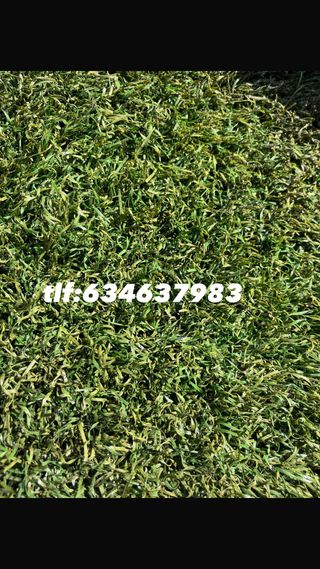 Césped artificial reciclado