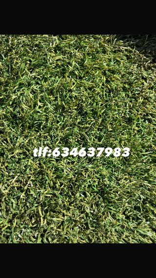 Césped artificial reciclado