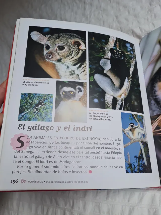 Libro 250 Curiosidades Animales Susaeta