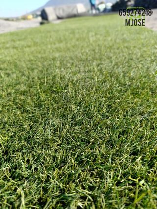 Cesped artificial reciclado