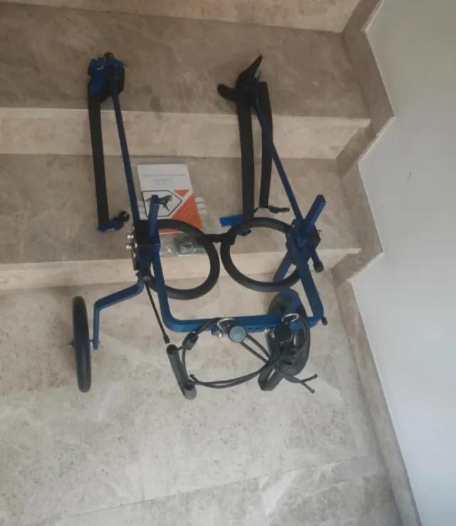 Carrello con ruote per cani di grossa taglia