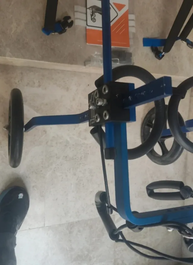 Carrello con ruote per cani di grossa taglia