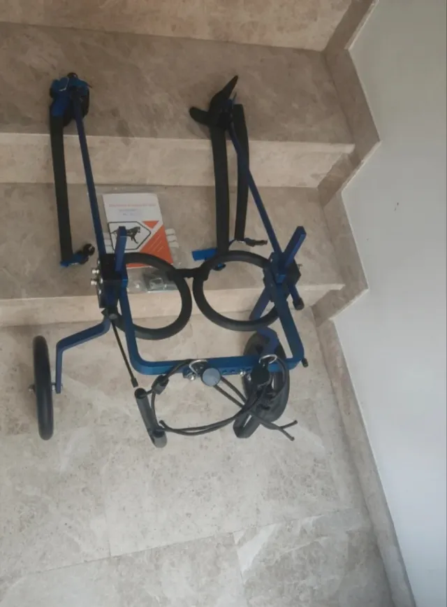 Carrello con ruote per cani di grossa taglia