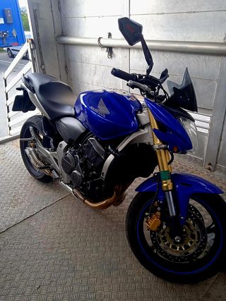 Honda Hornet 600 - 24.000 Km Tlf 683 38 38 80