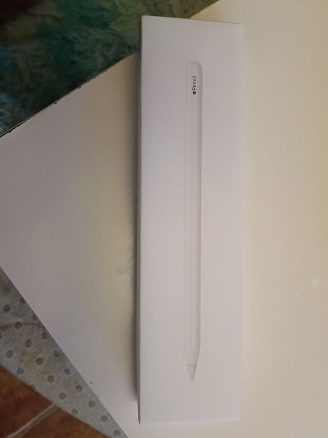 Apple Pencil para iPad