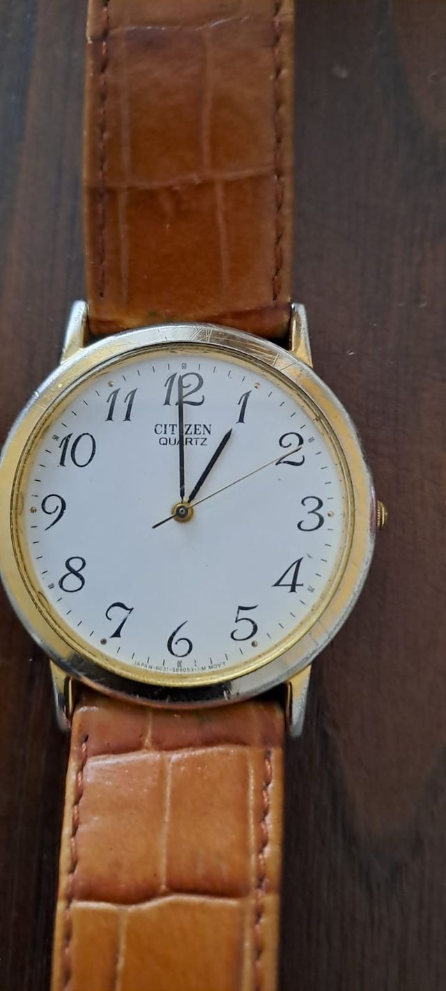 Orologio Citizen Unisex