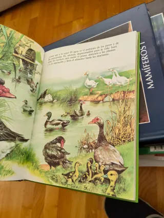 La vida de los animales para niños 6 años