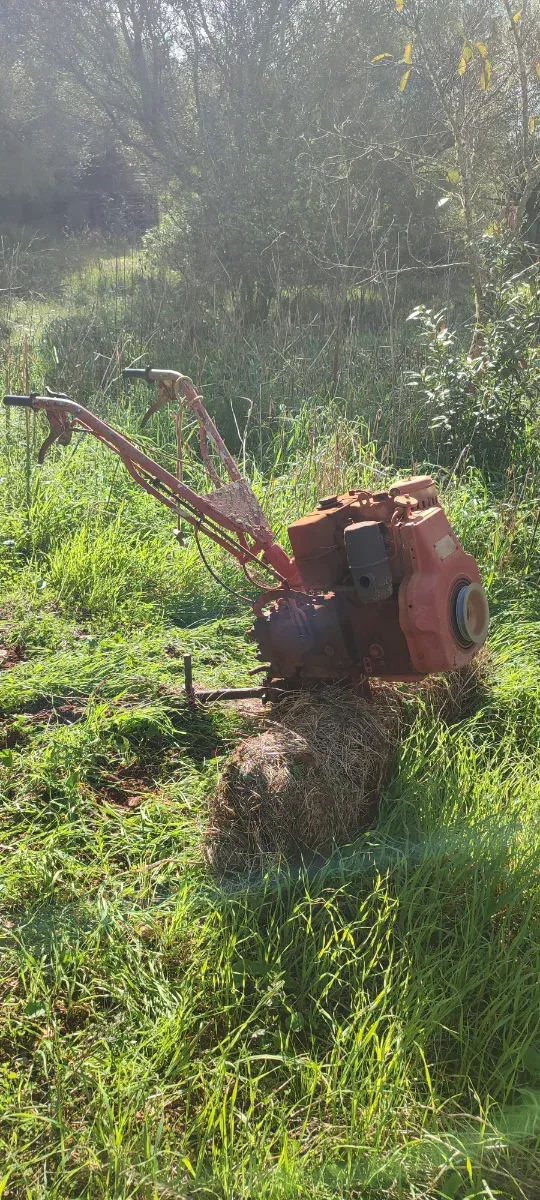 Motocultor Lombardini