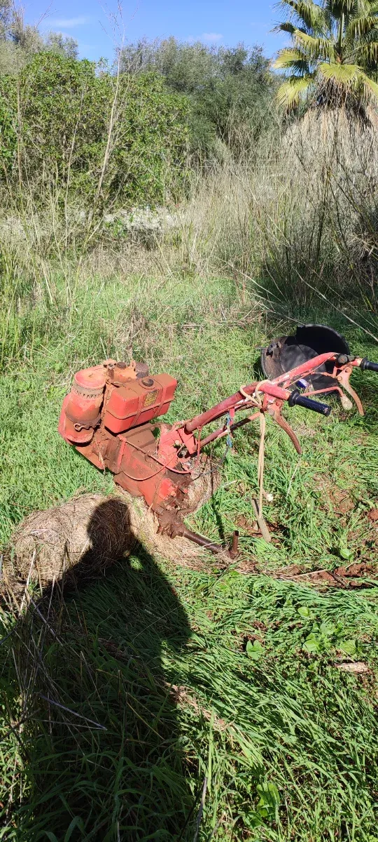 Motocultor Lombardini