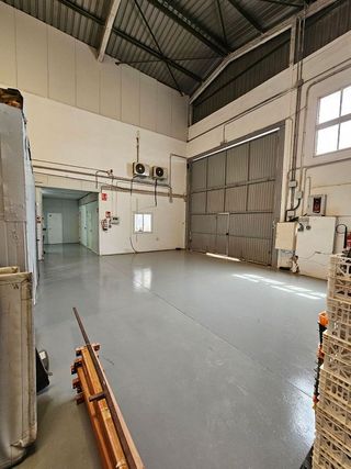 Nave industrial en alquiler en Silla