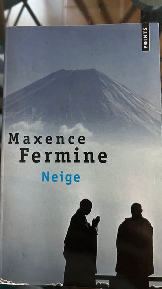 libros ingles, aleman y frances