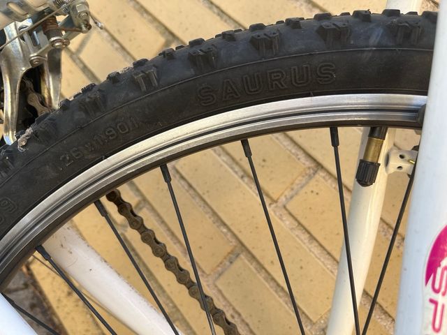 Bicicleta INDUR chica blanca