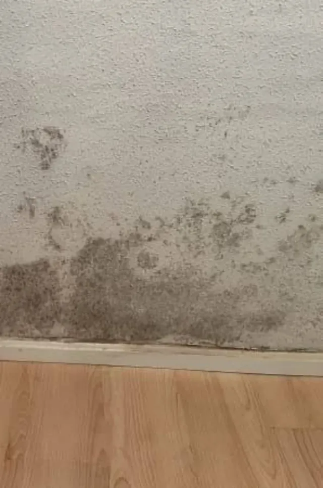 Todo tipo de humedad