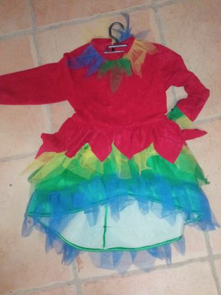 Disfraz adulto y niño loro