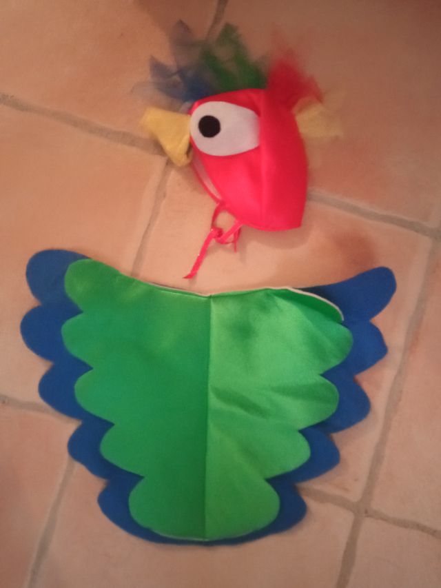 Disfraz adulto y niño loro