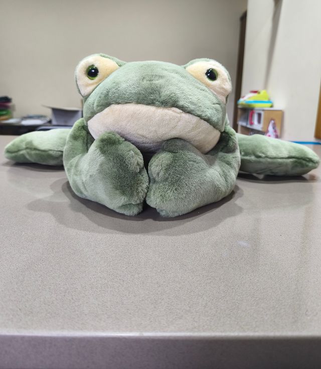 Rana de peluche verde grande