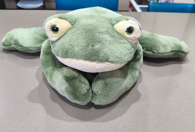 Rana de peluche verde grande