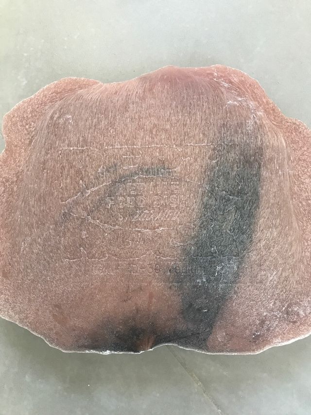 Comedero para reptiles piedra natural