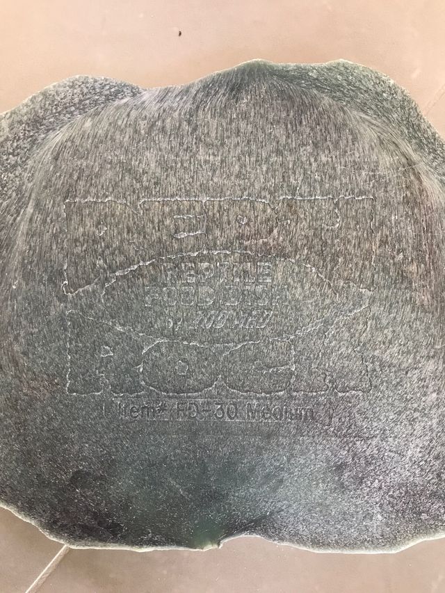 Comedero para reptiles piedra natural