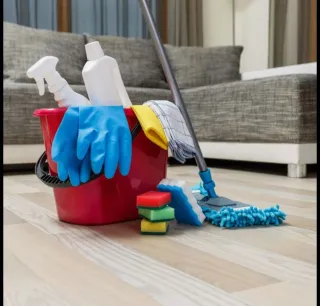 Servicios de Limpieza y Organización