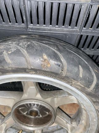 Rueda Jog RR Continental