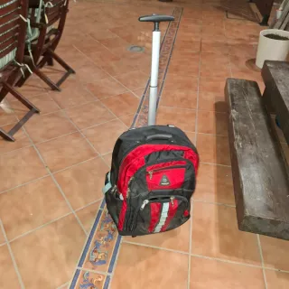 Mochila con ruedas Camino de Santiago