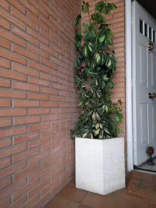 2 Macetas Piedra Entrada Porche