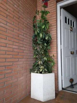 2 Macetas Piedra Entrada Porche