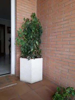 2 Macetas Piedra Entrada Porche