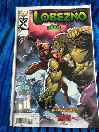 lote variado de comics