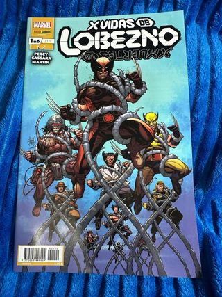 lote variado de comics