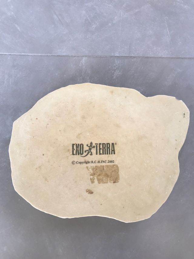 Comedero piedra natural para reptiles.