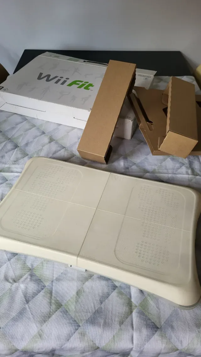 Nintendo Wii Fit