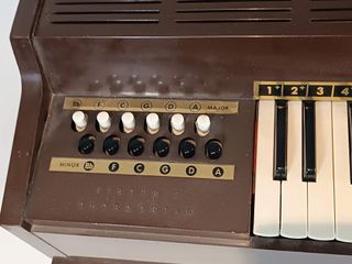 Órgano Magnus Chord