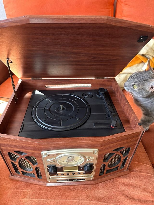 Ansonic Cadena con Tocadiscos