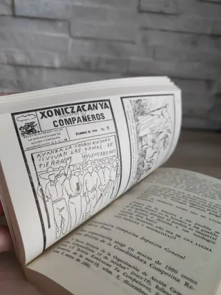 1°Ed. La lucha indígena. Un reto a la ortodoxia