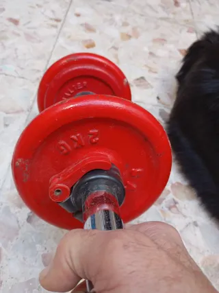 Mancuernas rojas ajustables