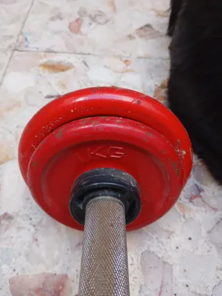 Mancuernas rojas ajustables