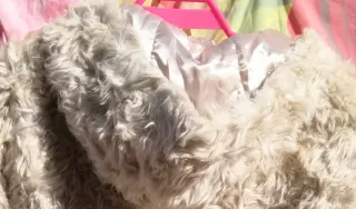 CAZADORA BEIGE CLARO DE PELO