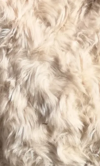 CAZADORA BEIGE CLARO DE PELO