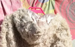 CAZADORA BEIGE CLARO DE PELO